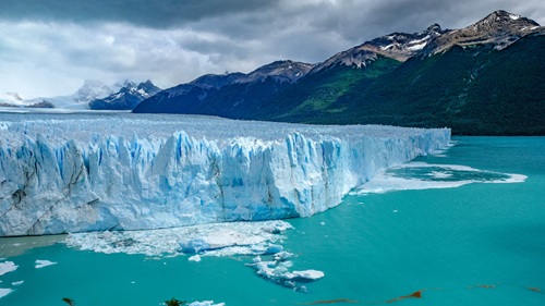Excursiones Calafate